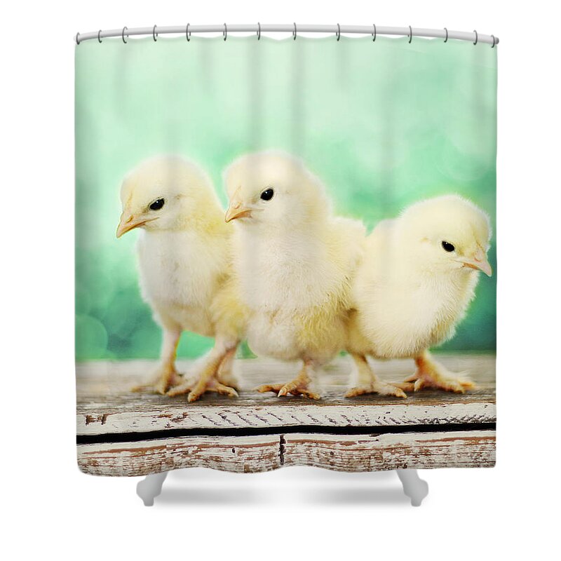 Three Amigos Shower Curtain for Sale by Amy Tyler
