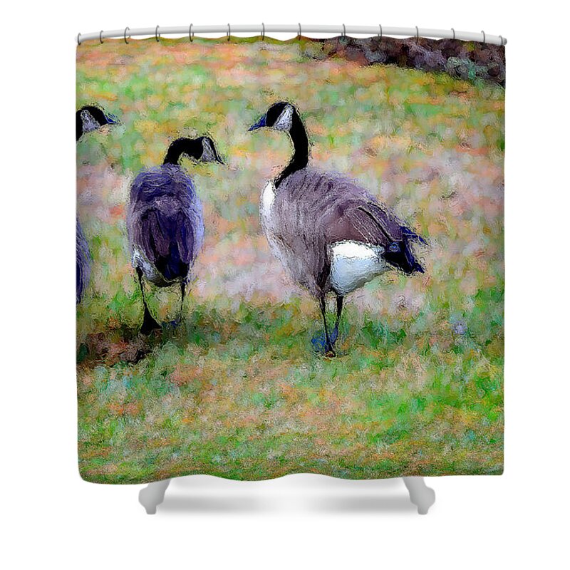 Three Canadian Geese Shower Curtain featuring the painting Three Canadian Geese by Jeelan Clark