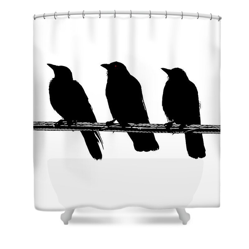 Birds Shower Curtain featuring the digital art Three Crow Cable Red Eyed by Gary Olsen-Hasek