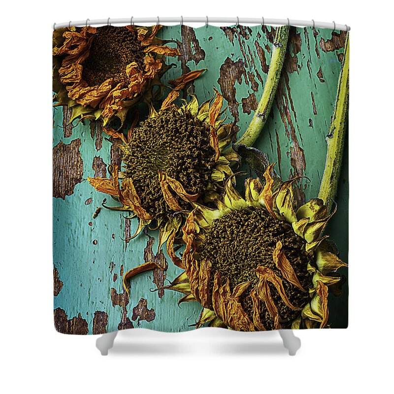 Three Shower Curtain featuring the photograph Three Dried Sunflowers by Garry Gay