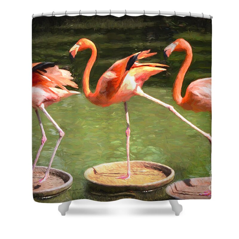 Three Shower Curtain featuring the photograph Three Flamingos by Judy Wolinsky