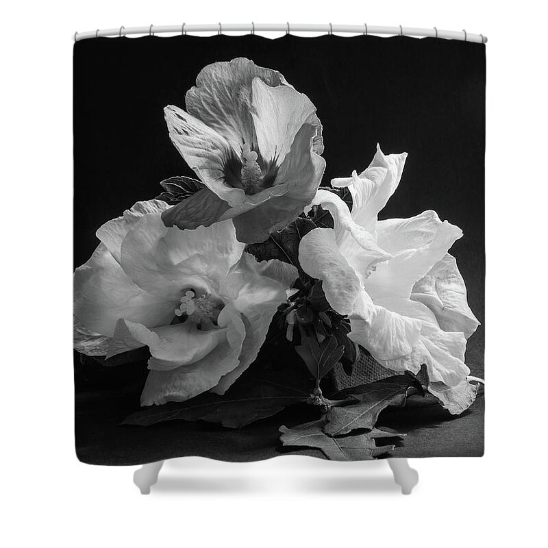 Flowers Shower Curtain featuring the photograph Three Hibiscus Monochrome by Jeff Townsend