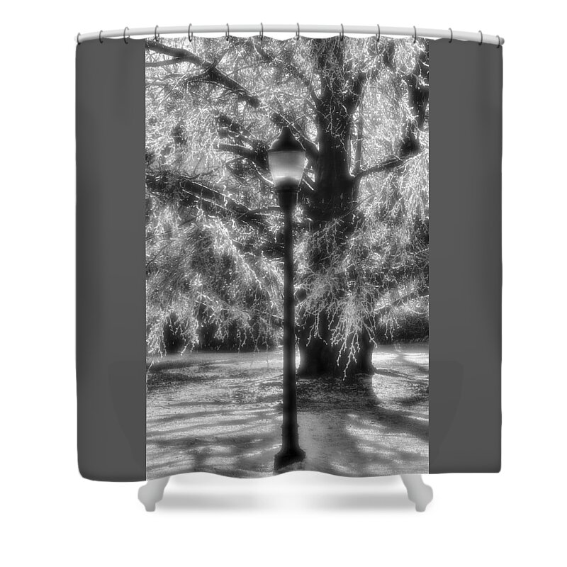 Lamp Shower Curtain featuring the photograph Three Lights by Michael Mazaika