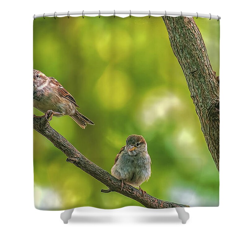 Birds Shower Curtain featuring the photograph Three Little Sparrows by Cathy Kovarik
