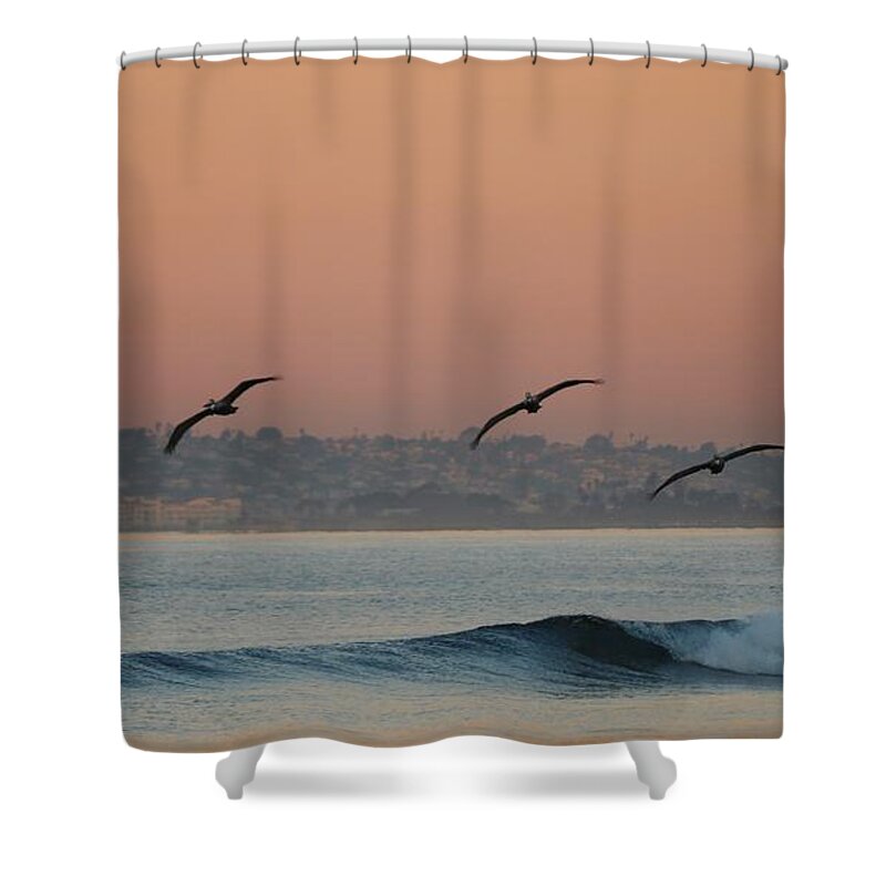 Pelicans Shower Curtain featuring the photograph Three Pack by Christy Pooschke