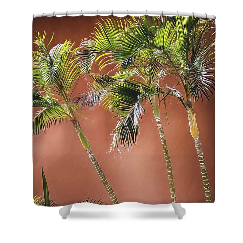 Palm Trees Shower Curtain featuring the photograph Three Palms by Pamela Steege