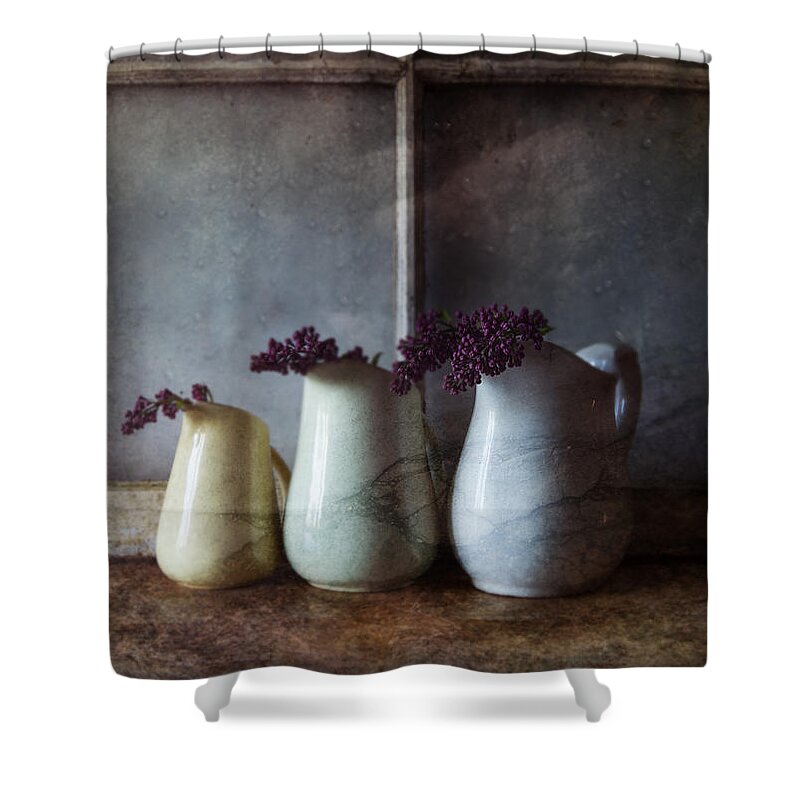 Three Pitchers Shower Curtain featuring the photograph Three Pitchers by Nichon Thorstrom
