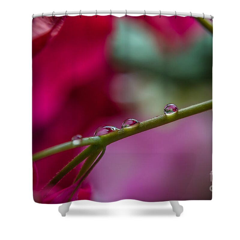Michelle Meenawong Shower Curtain featuring the photograph Three Reflecting Drops by Michelle Meenawong