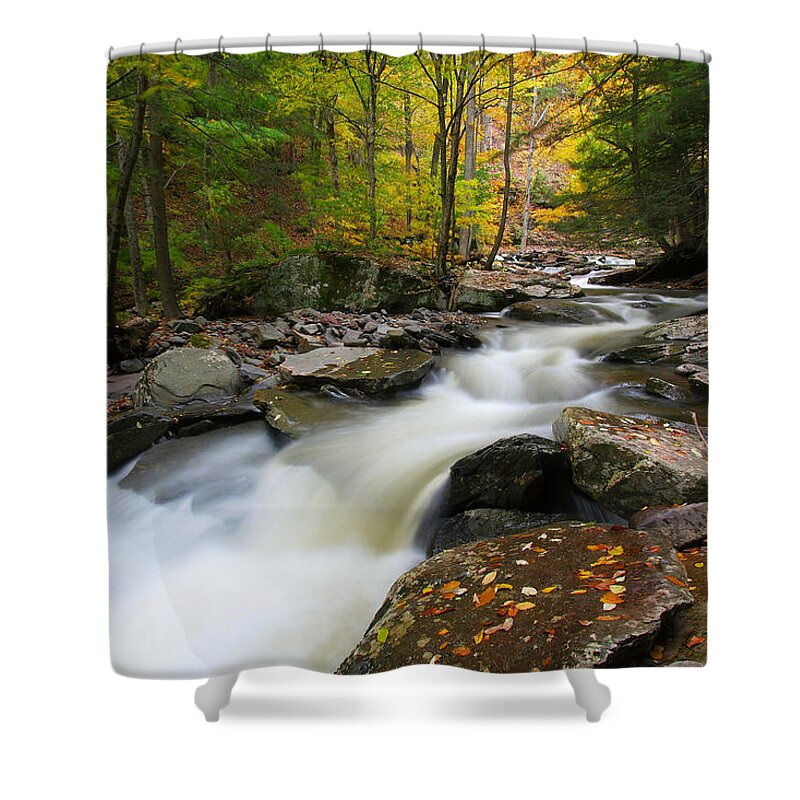 Fall Shower Curtain featuring the photograph Three Seconds in Fall by Neil Shapiro