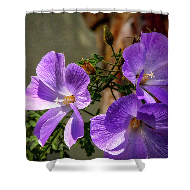 Floral Shower Curtain featuring the photograph Three Sisters by Gene Parks