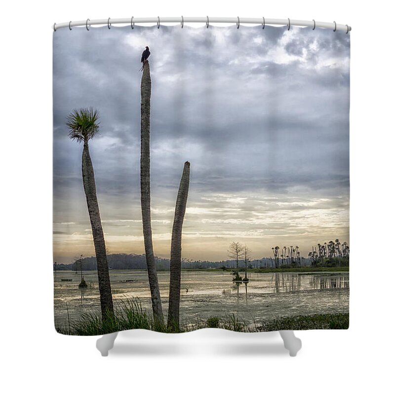 Crystal Yingling Shower Curtain featuring the photograph Three Sticks by Ghostwinds Photography