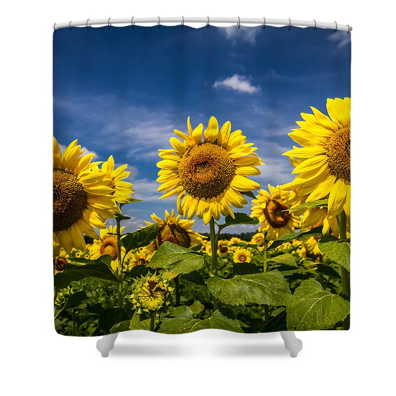Blue Sky Shower Curtain featuring the photograph Three Suns by Ron Pate