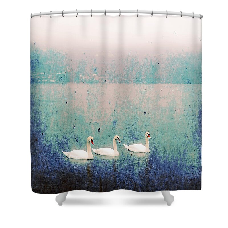 Lago Maggiore Shower Curtains