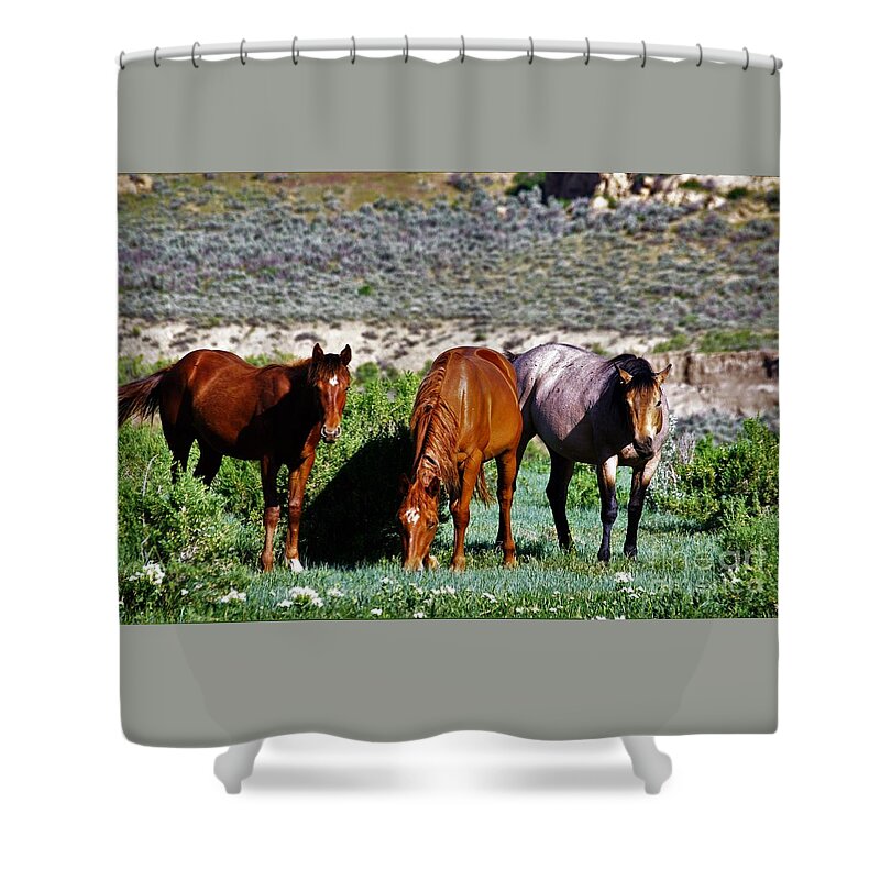 Horses Shower Curtain featuring the photograph Three Together by Merle Grenz