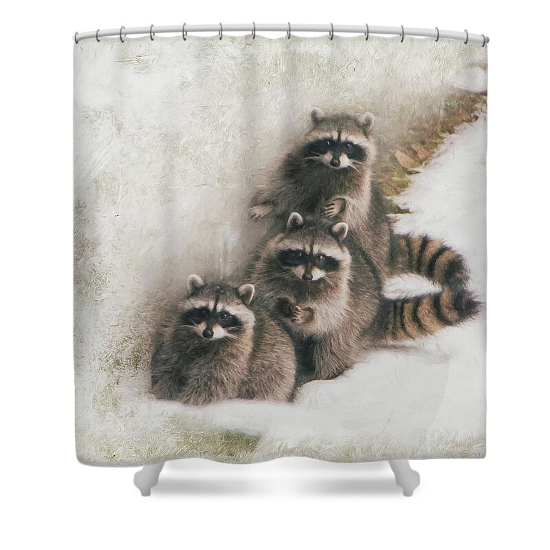Raccoons Shower Curtain featuring the photograph Three Amigos by Marilyn Wilson