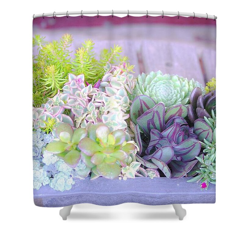 Plants Shower Curtain featuring the photograph Thrillers by Merle Grenz