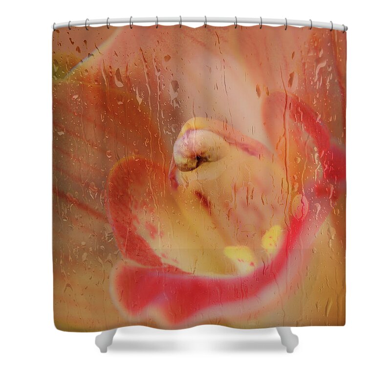 Flowers Shower Curtain featuring the photograph Through the Water by Stewart Helberg