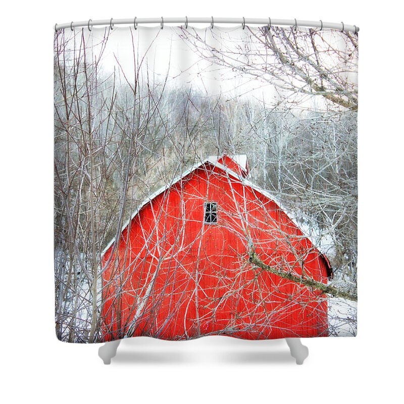 Barn Shower Curtain featuring the photograph Through the Woods by Julie Hamilton
