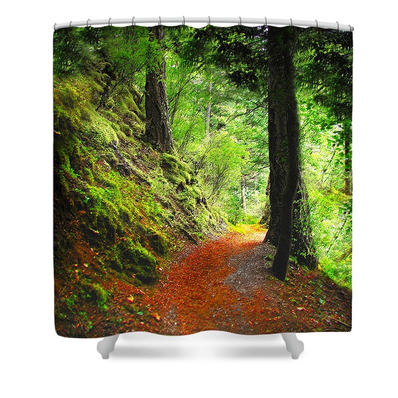 Path Shower Curtain featuring the digital art Through The Woods by Vicki Lea Eggen