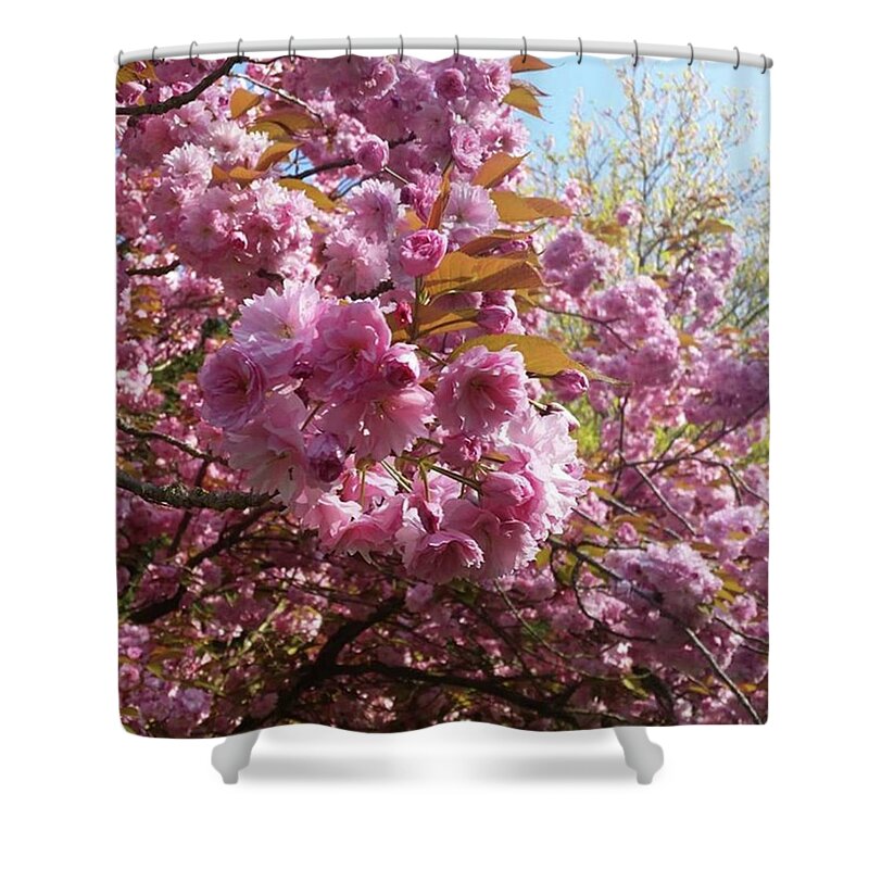 Outdoors Shower Curtain featuring the photograph Blossoming by Rowena Tutty