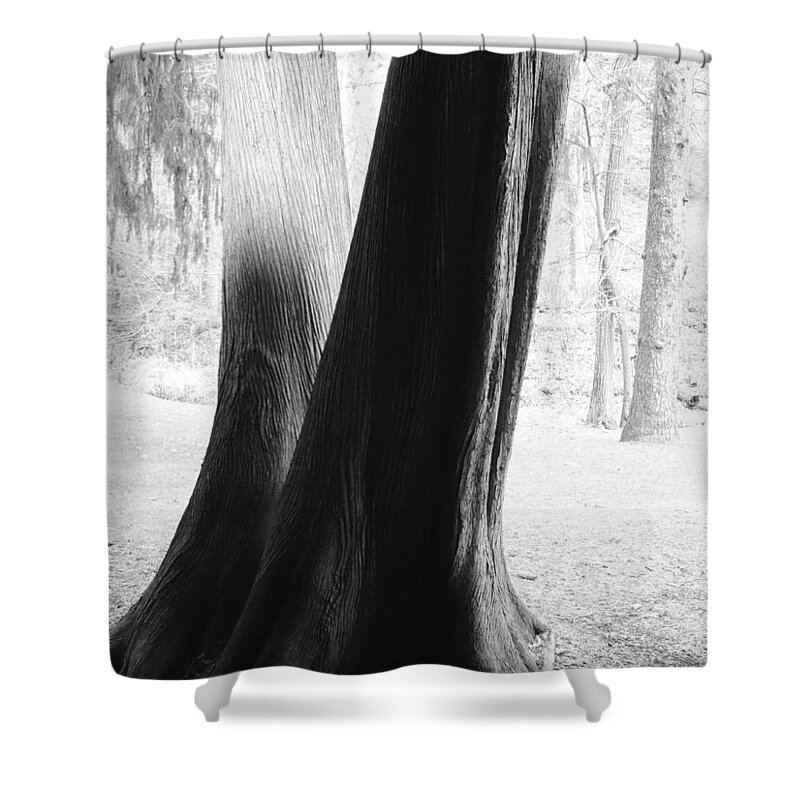 Tree Shower Curtain featuring the photograph Thrym's Poem by Char Szabo-Perricelli