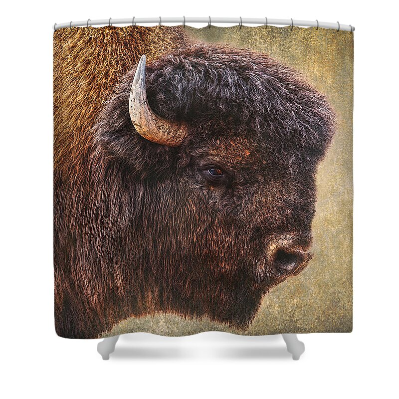 Bison Shower Curtain featuring the photograph Thunder Beast by Ron McGinnis