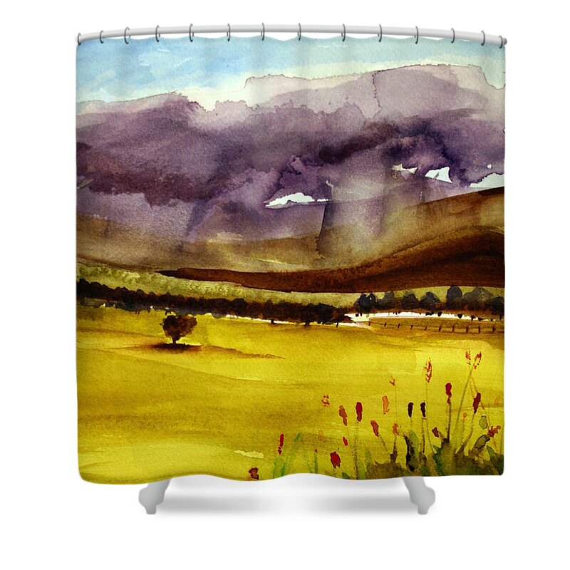 Paint Shower Curtain featuring the painting Thundering by Julie Lueders 
