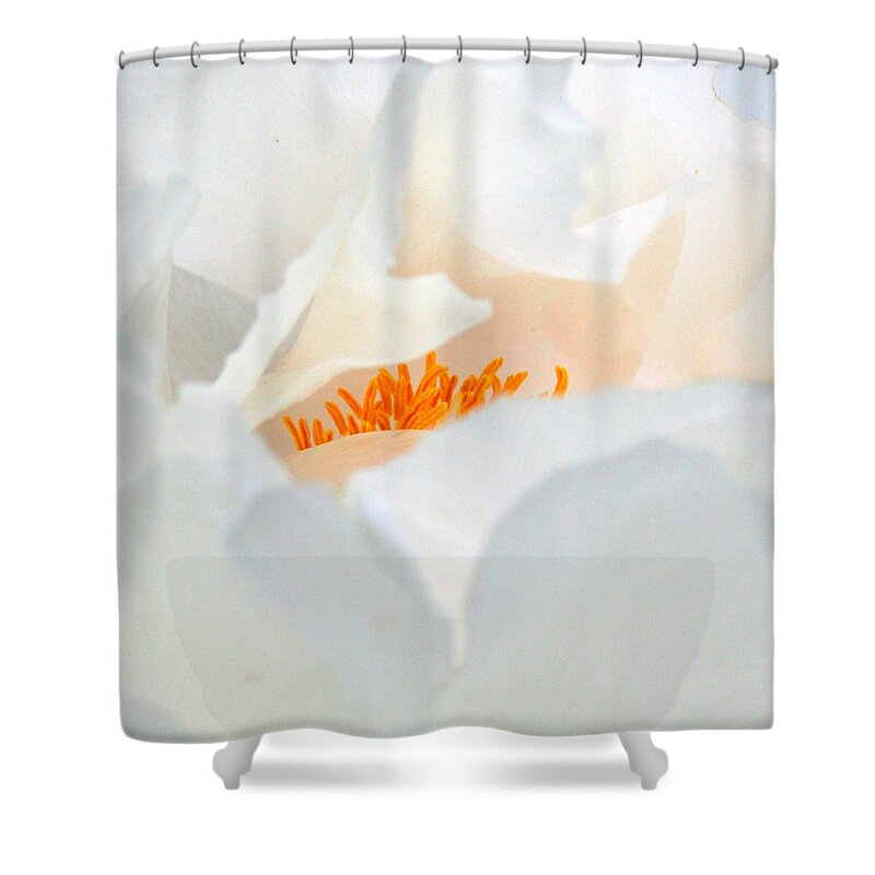 Flower Shower Curtain featuring the photograph Tickle Me Pink by Julie Lueders 