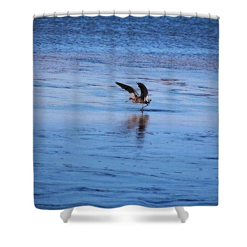 Heron Shower Curtain featuring the photograph Tidal Toe Tappin by Michiale Schneider