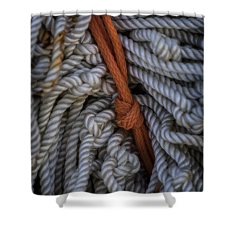 Knot Shower Curtain featuring the photograph Ties That Bind by David Kay