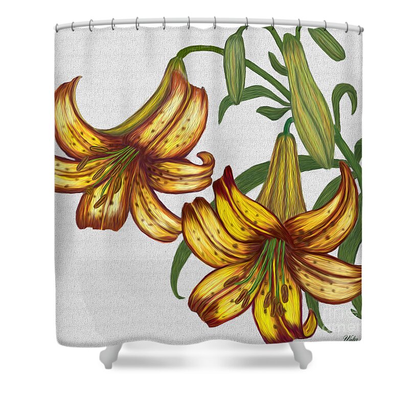 Tiger Lily Shower Curtain featuring the digital art Tiger Lily Blossom by Walter Colvin