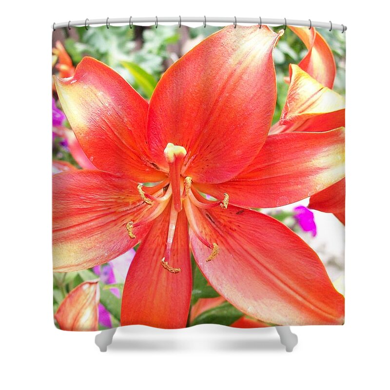 Lily Shower Curtain featuring the photograph Tiger Lily by Sharon Duguay