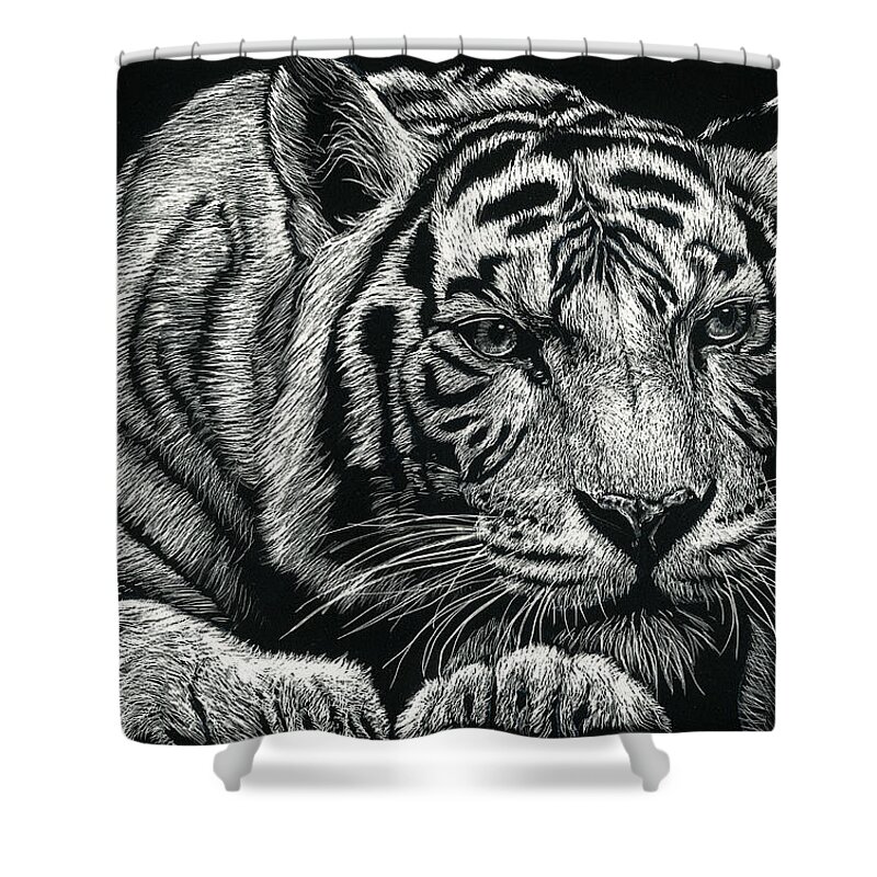 Tiger Shower Curtain featuring the drawing Tiger Pause by William Underwood
