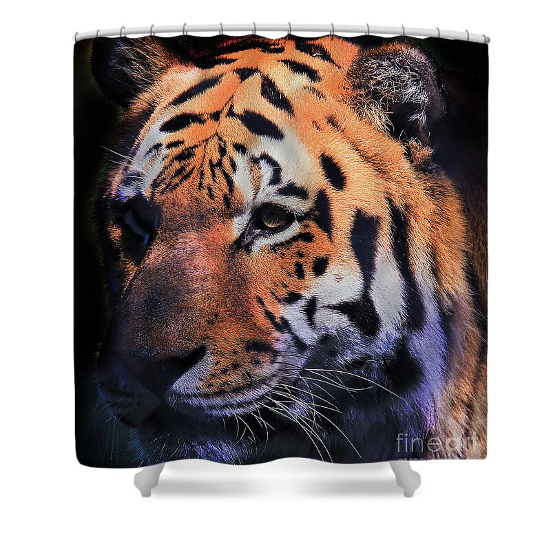 Tiger Shower Curtain featuring the photograph Tiger Portrait by Roger Becker