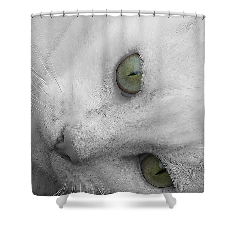 White Shower Curtain featuring the photograph Tiki Love by Belinda Cox