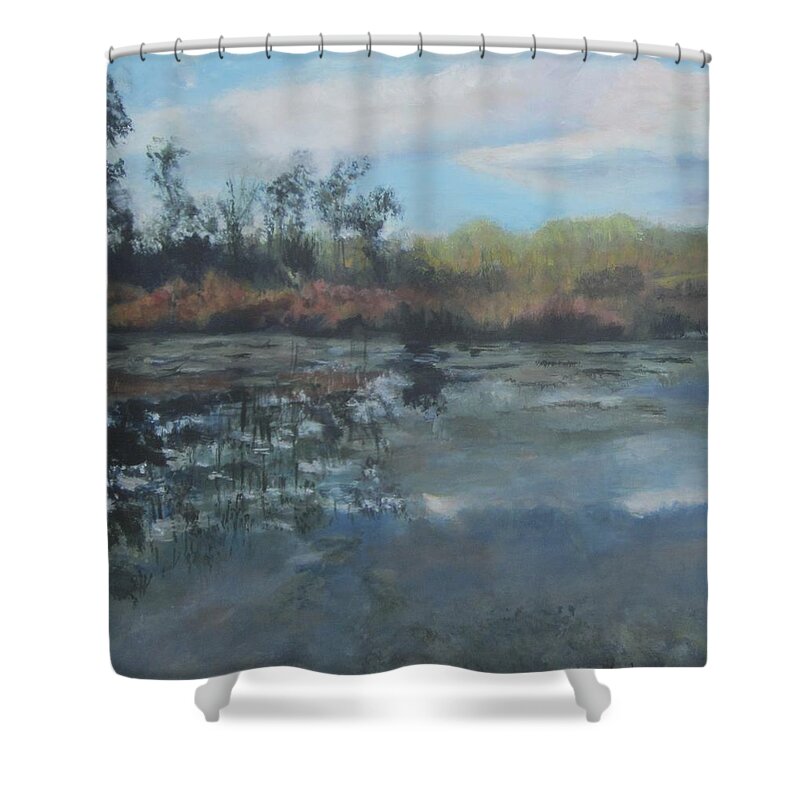 Lake Shower Curtain featuring the painting Time To Reflect by Paula Pagliughi
