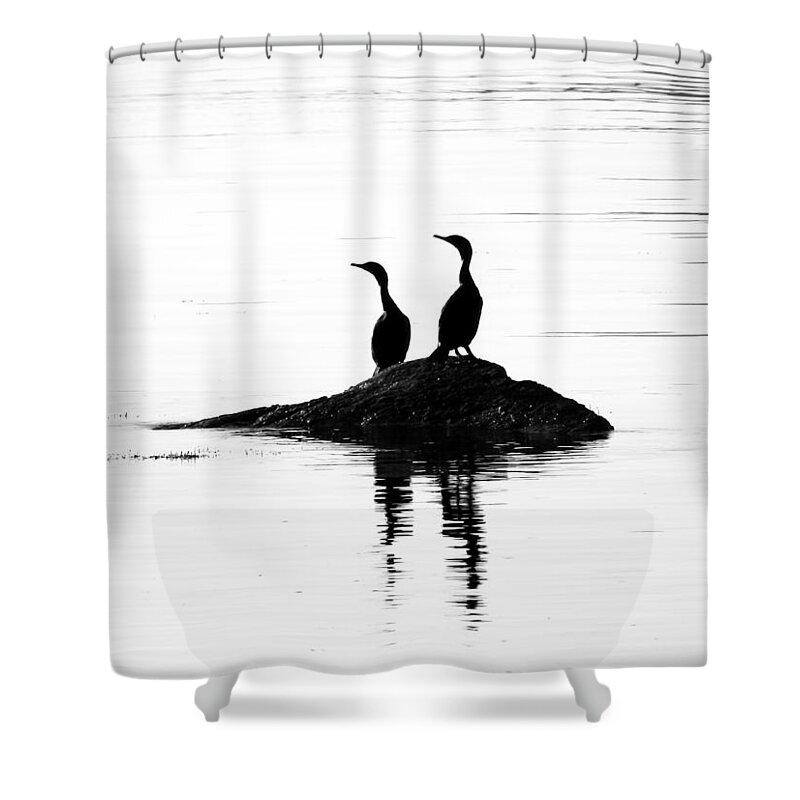 Canada Shower Curtain featuring the photograph Time With You by Zinvolle Art