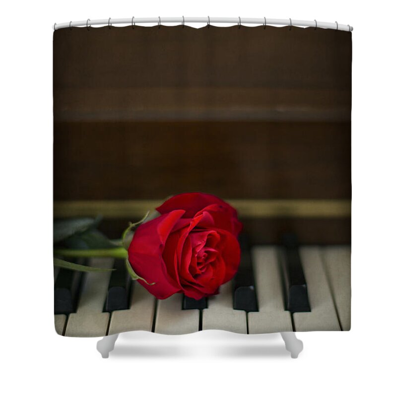 Alone Shower Curtain featuring the photograph Timeless Melody by Evelina Kremsdorf