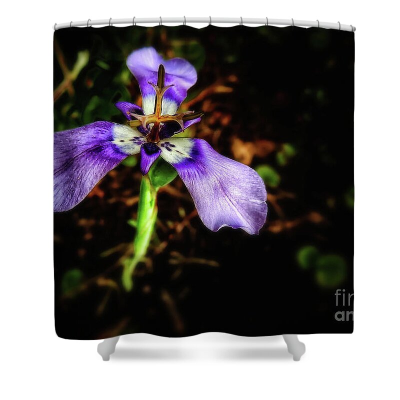 Flower Shower Curtain featuring the photograph Tiny Purple Flower by JB Thomas