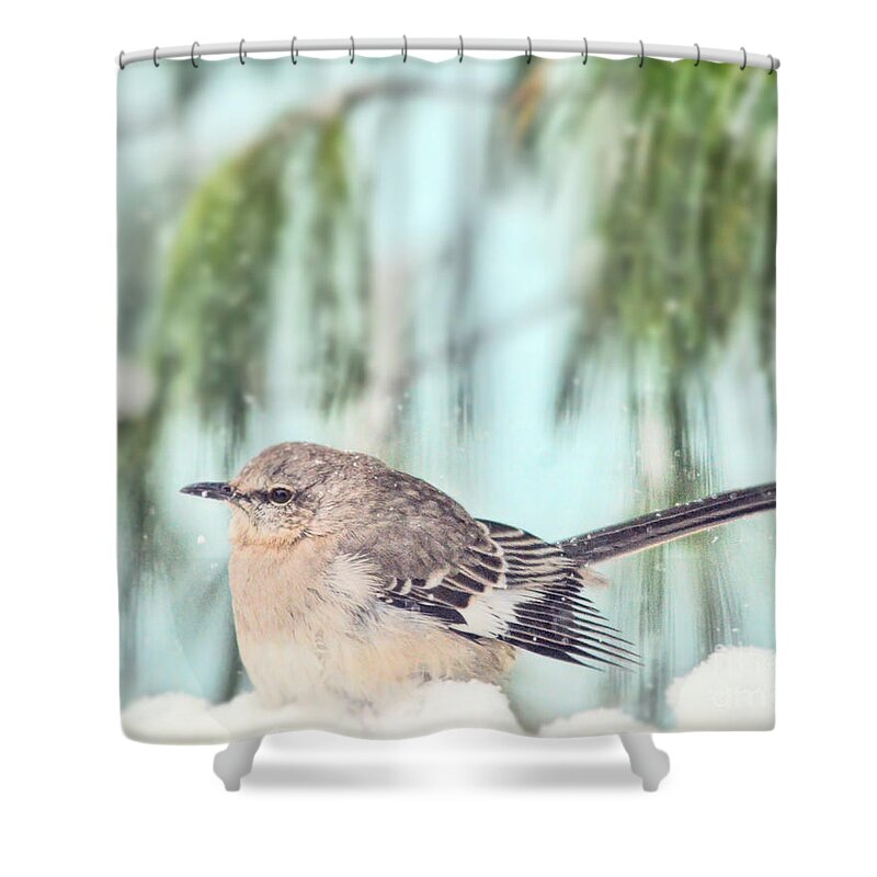 Mockingbird Shower Curtain featuring the photograph To Chill A Mockingbird by Kerri Farley