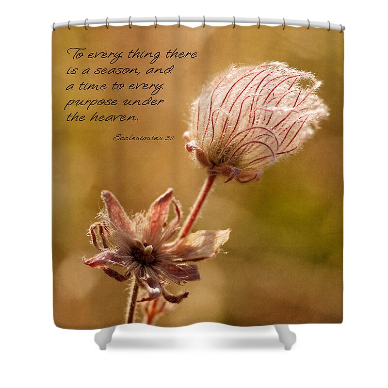 Inspiration Shower Curtain featuring the photograph To Everything A Season by Mary Jo Allen