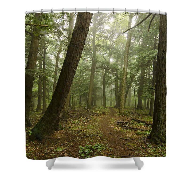 Porcupine Mountains Shower Curtain featuring the photograph To Grand Mother's House We Go by Steve L'Italien