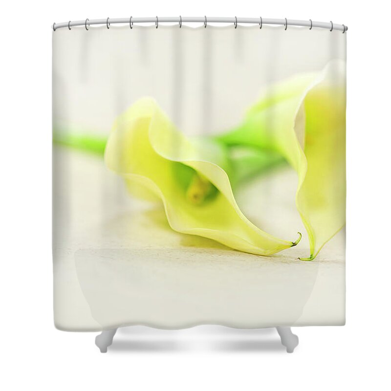To Have And To Hold... Shower Curtain for Sale by Evelina Kremsdorf