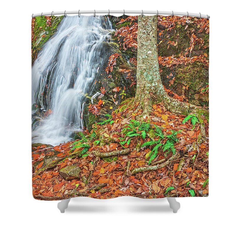 Crabtree Falls Shower Curtain featuring the photograph To Live Is To Suffer. To Survive Is To Find Some Meaning In Suffering. by Bijan Pirnia