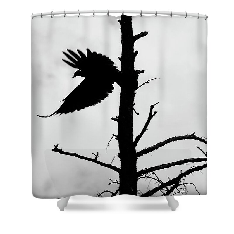 Birds Shower Curtain featuring the photograph To Venture by J C