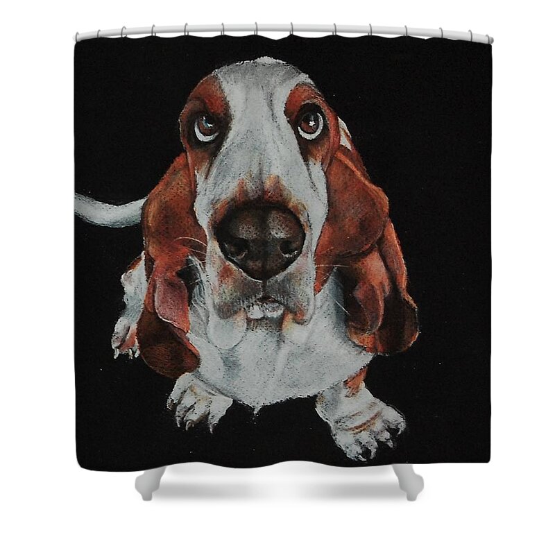 Basset Shower Curtain featuring the drawing Toby Was All Ears by Jean Cormier