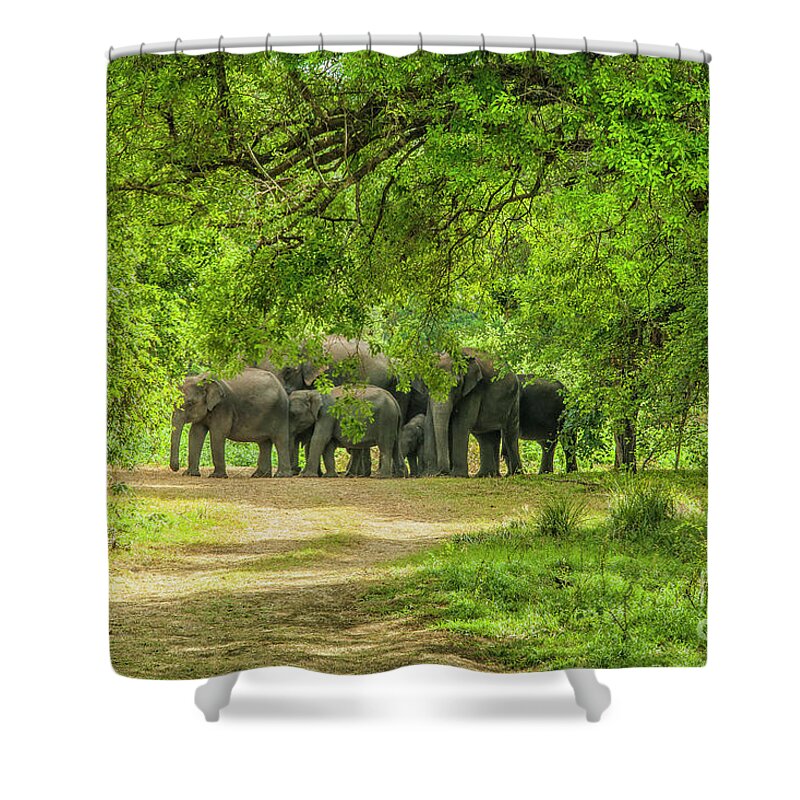 Animal Shower Curtain featuring the photograph Together is safe by Patricia Hofmeester