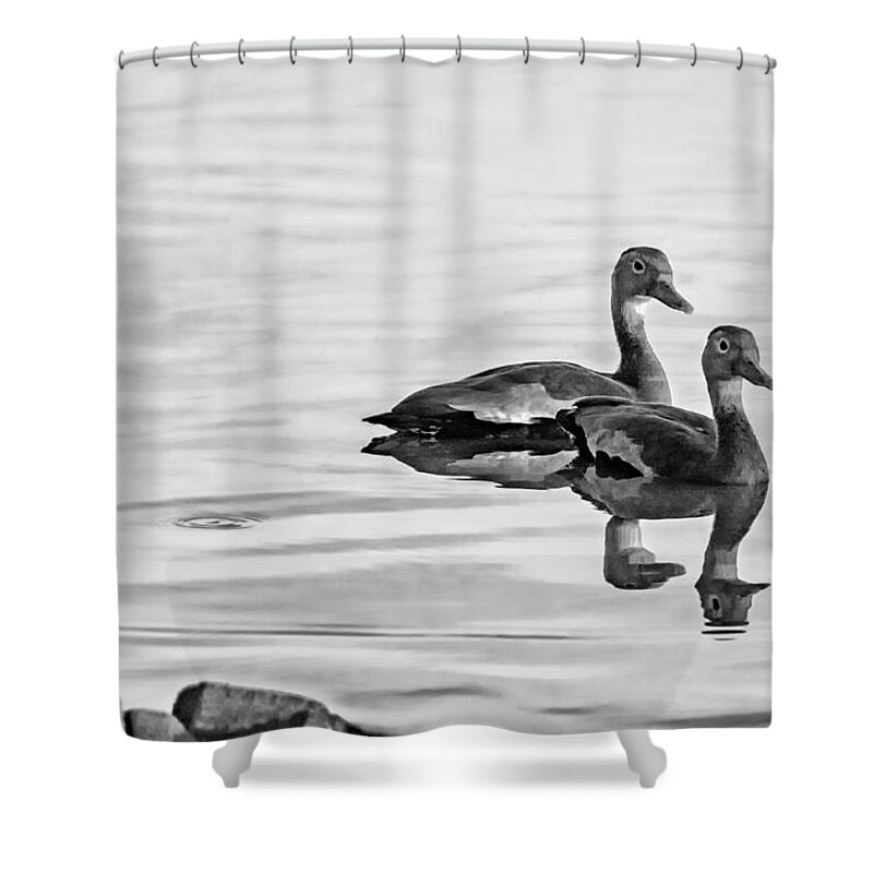 Togetherness Shower Curtain featuring the photograph Togetherness - bw by Steve Harrington