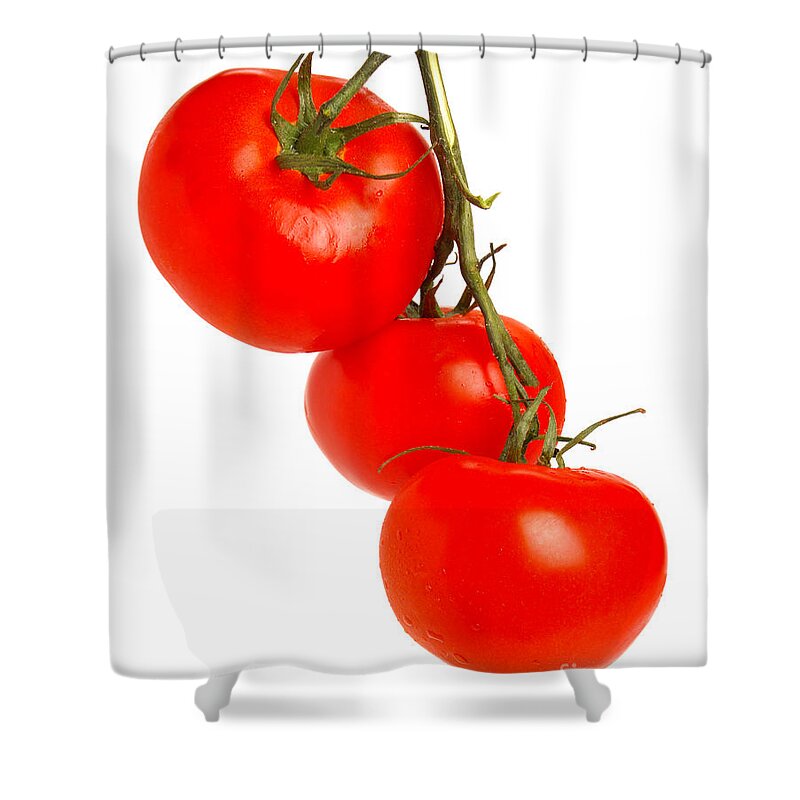 Tomatoes Shower Curtain featuring the photograph Tomatoes on the Vine by Olivier Le Queinec