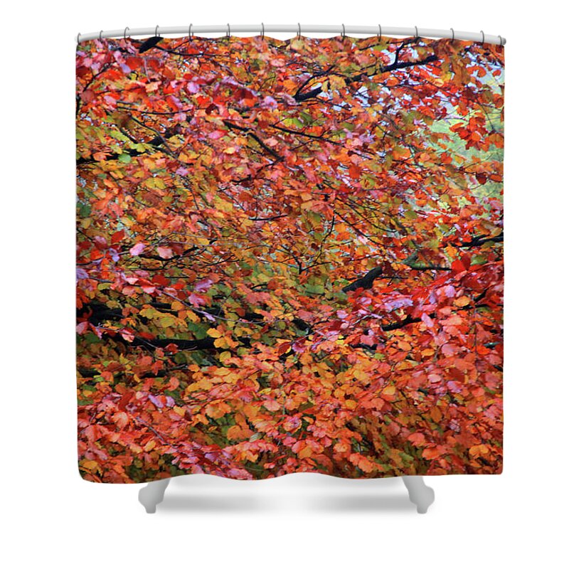 Hebden Shower Curtain featuring the photograph Too Soon For Fall by Jez C Self
